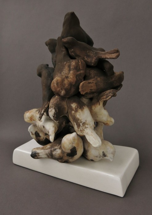 Black and White Bird Mass